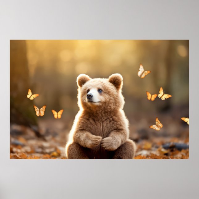 Bear Wild Animal Tranquil Friedlich Poster (Vorne)