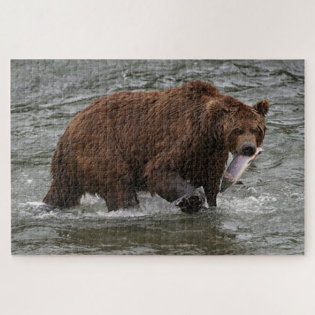 Bear with Salmon in Katmai National Park Alaska (Horizontal)