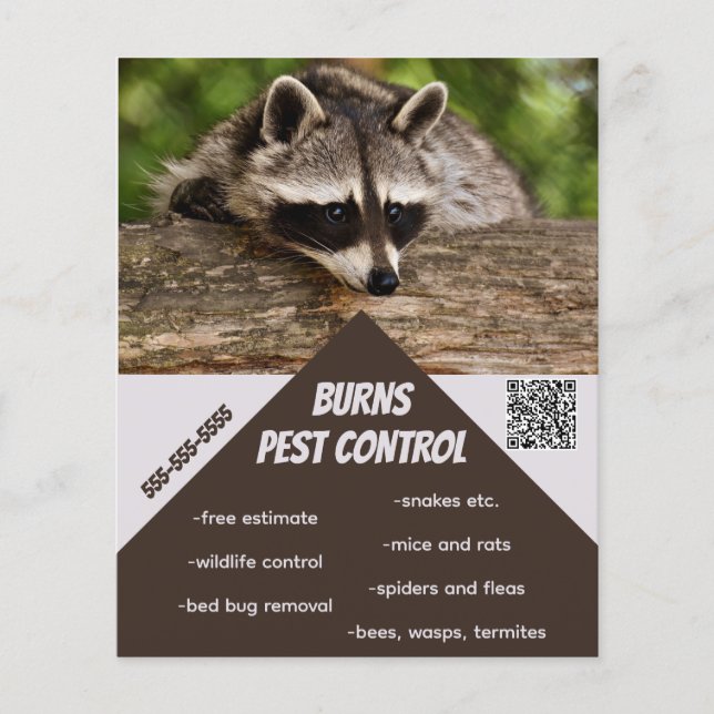 Bearbeitbare Pest-Kontrolle Flyer (Vorne)