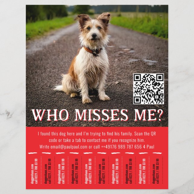 Bearbeitbares Fundhund-Plakat mit QR-Code und Abre Flyer (Vorne)