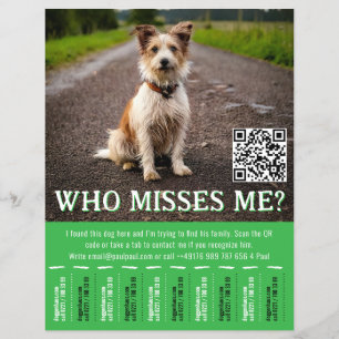 Bearbeitbares Fundhundplakat mit QR-Code und Abrei Flyer