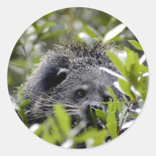 Bearcat-Aufkleber Runder Aufkleber