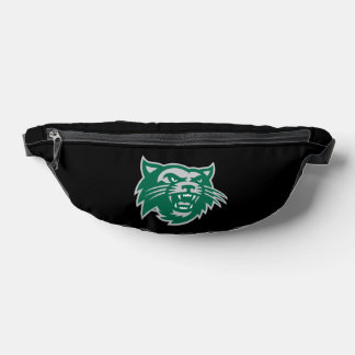 Bearcats du Missouri Nord-Ouest