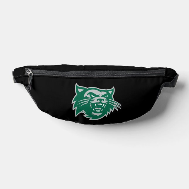 Bearcats du Missouri Nord-Ouest (Poser)