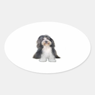Bearded Collie (D) - Schiefergrau und weiß Ovaler Aufkleber