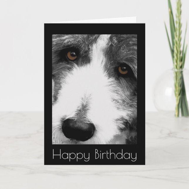 Bearded Collie Eyes Geburtstagskarte Karte (Vorderseite)