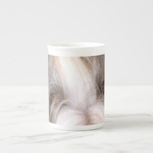 Bearded_collie eyes.png prozellantasse