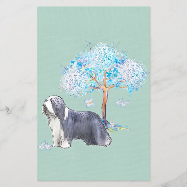 Bearded Collie Flyer (Vorne)