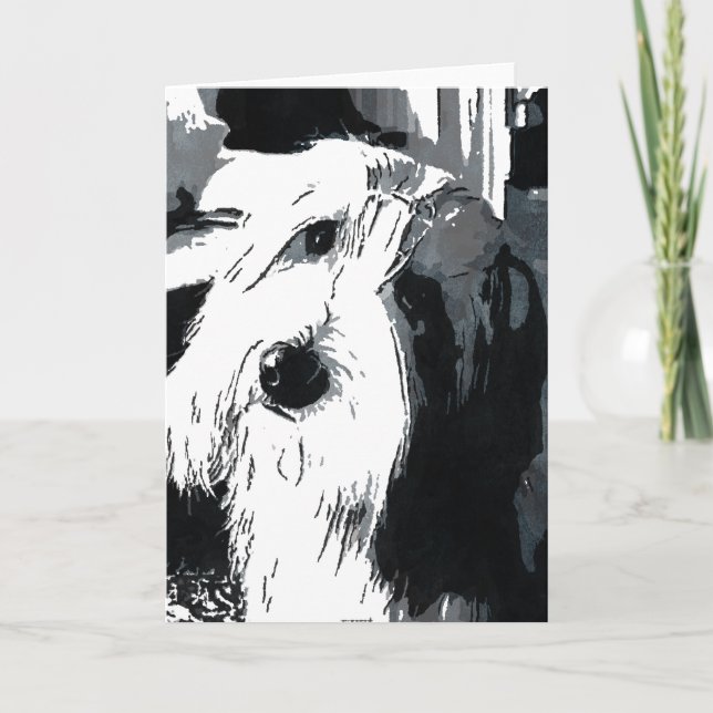 Bearded Collie Grußkarte Karte (Vorderseite)