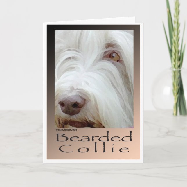 Bearded Collie Karte (Vorderseite)