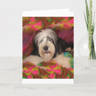 Bearded Collie Karte