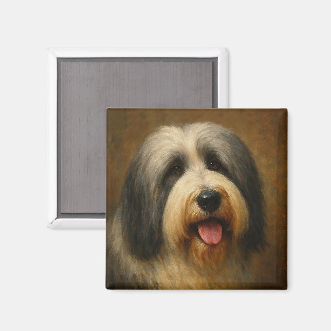 Bearded Collie Magnet (Vorderseite/Rückseite)