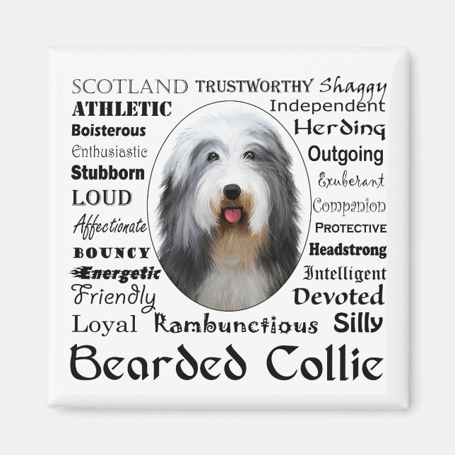 Bearded Collie Magnet (Vorne)