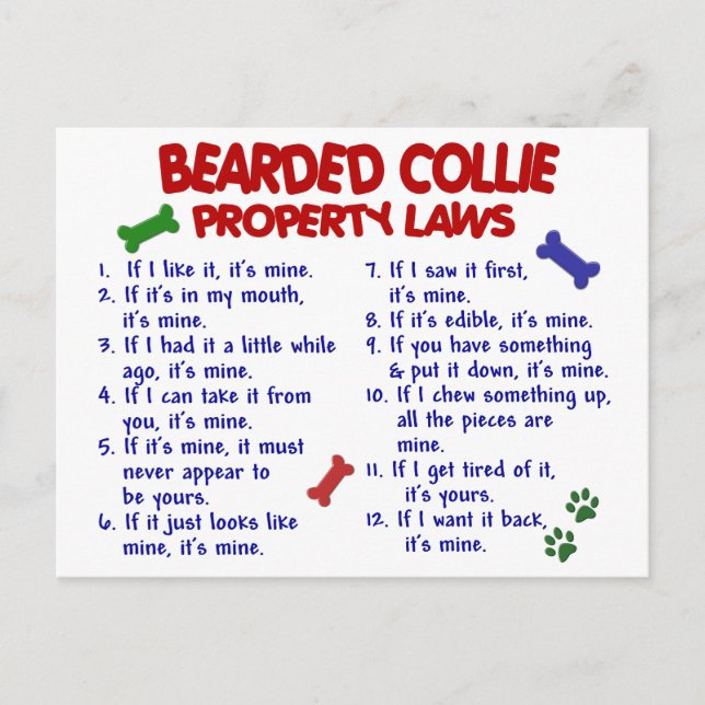 BEARDED COLLIE Property Laws 2 Postkarte (Vorderseite)