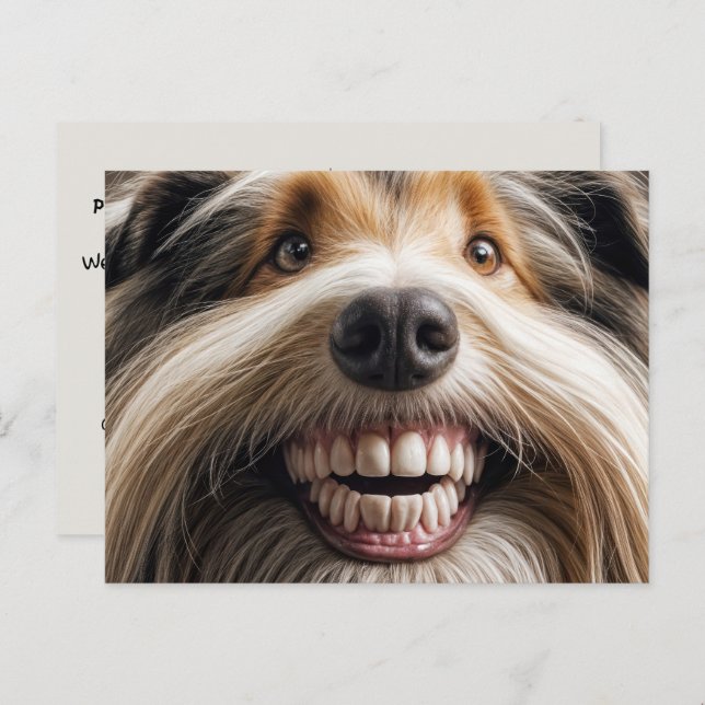 Bearded Collie Toothy Smile Postkarte (Vorne/Hinten)