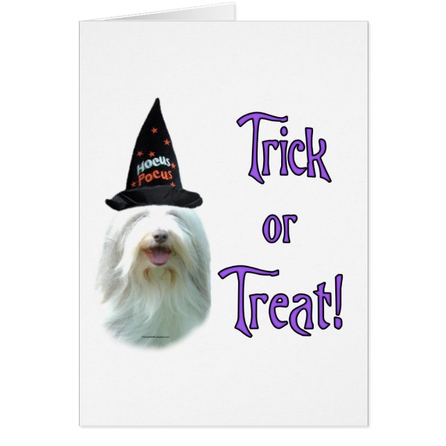 Bearded Collie Trick (Vorne)