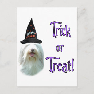 Bearded Collie Trick Postkarte