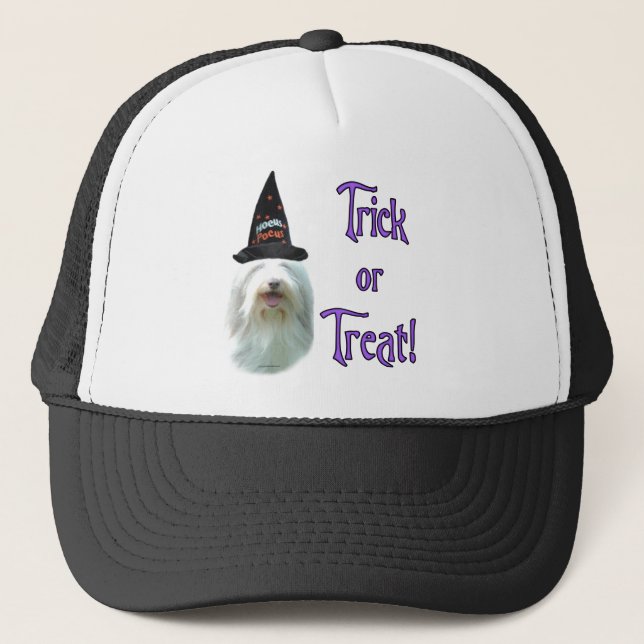 Bearded Collie Trick Truckerkappe (Vorderseite)