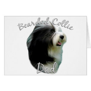 Bearded Collie Vater 2
