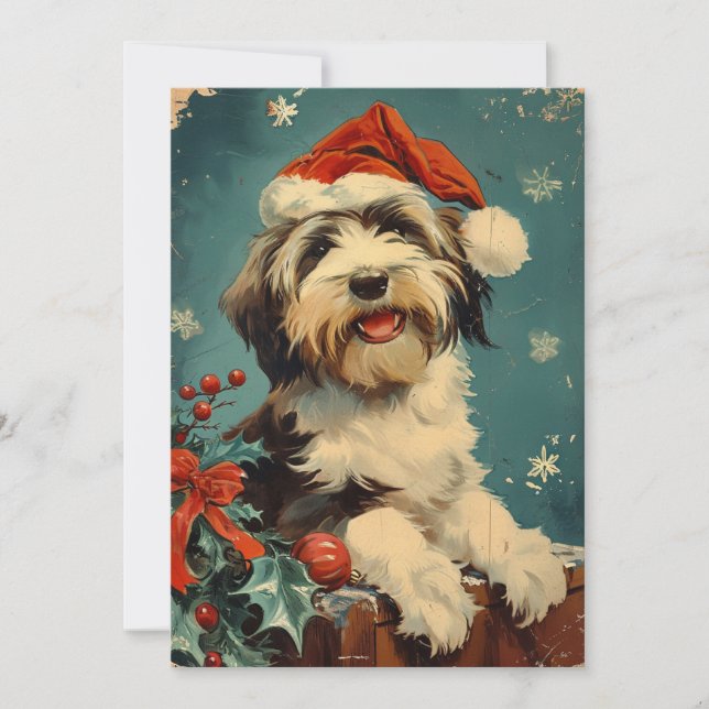 Bearded Collie Weihnachten (Vorderseite)