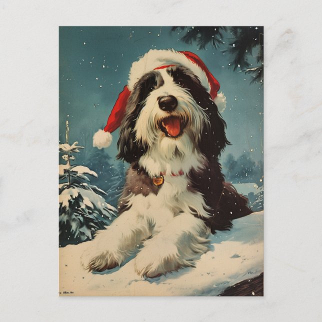 Bearded Collie Weihnachten Postkarte (Vorderseite)