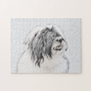 Bearded Collie Zeichnend - Niedliche Original Hund