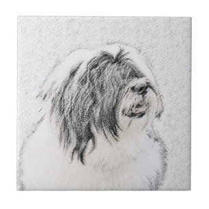Bearded Collie Zeichnend - Niedliche Original Hund Fliese