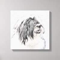 Bearded Collie Zeichnend - Niedliche Original Hund