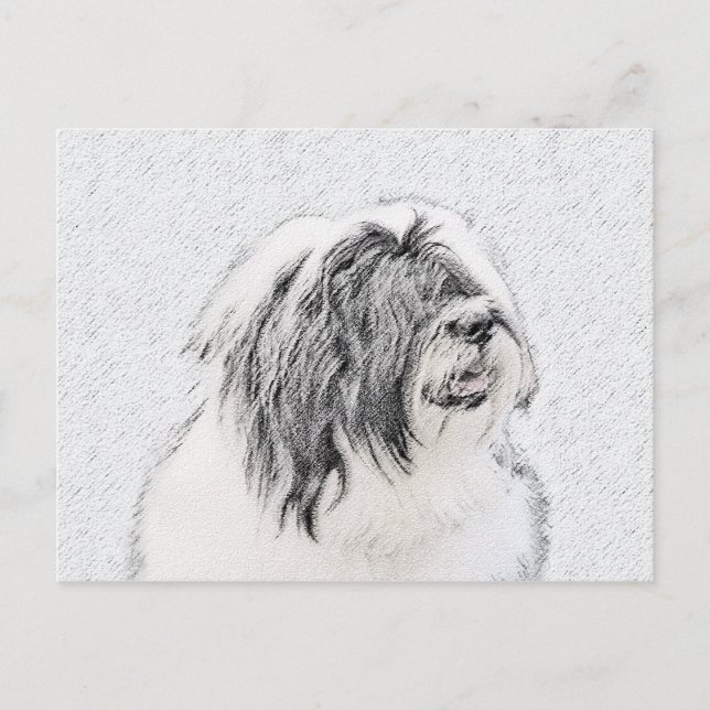 Bearded Collie Zeichnend - Niedliche Original Hund Postkarte (Vorderseite)