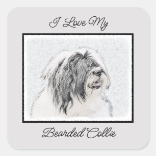 Bearded Collie Zeichnend - Niedliche Original Hund Quadratischer Aufkleber