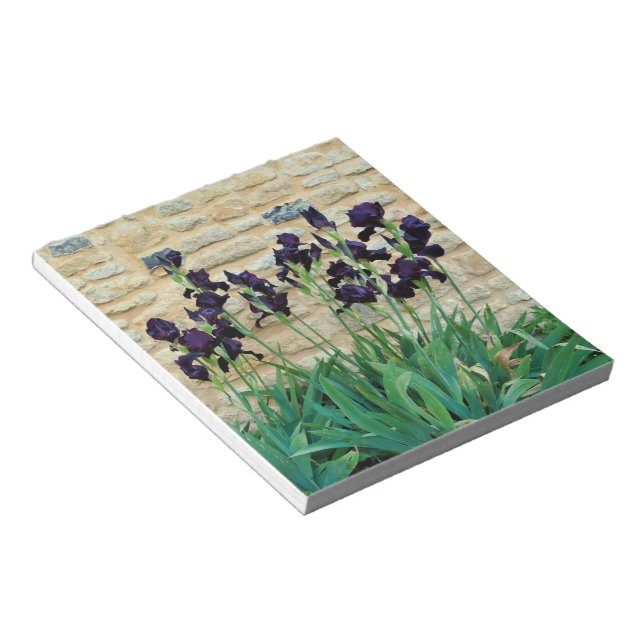 Bearded Iris Notizblock (angewinkelt)