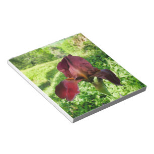 Bearded Iris Notizblock