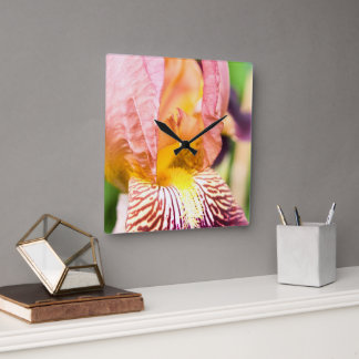 Bearded Iris Quadratische Wanduhr