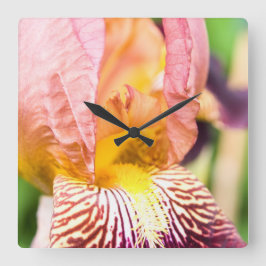 Bearded Iris Quadratische Wanduhr
