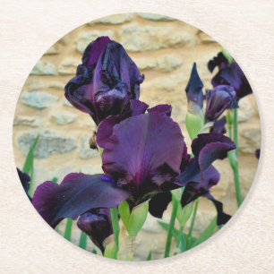 Bearded Iris Runder Pappuntersetzer