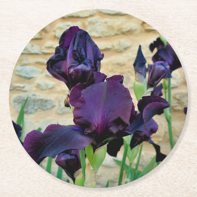 Bearded Iris Runder Pappuntersetzer (Vorderseite)