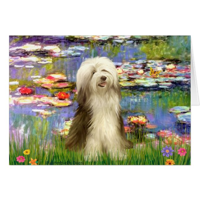 Beardie 16 - Lilies 2 (Vorderseite (Horizontal))