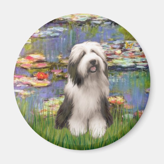 Beardie 1 - Lilies 2 Magnet (Vorne)