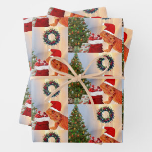 Beardie-Claus - Bartded Dragon Santa Geschenkpapier Set