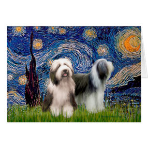 Beardie Pair 1 - Starry Night - Maßgeschneidert