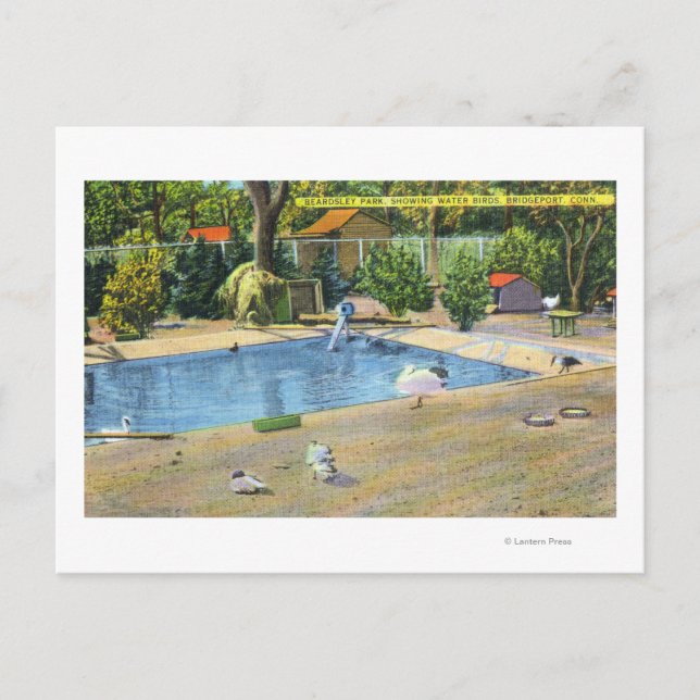 Beardsley Park Sicht auf Wasservögel Postkarte (Vorderseite)
