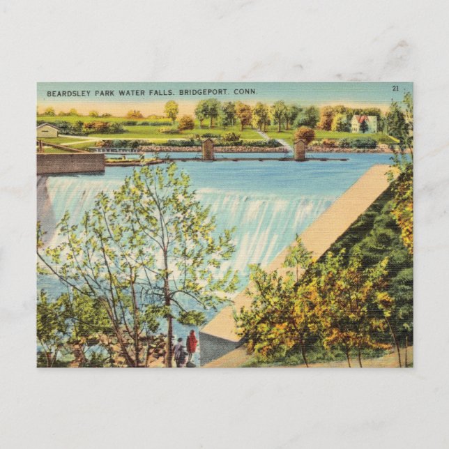 Beardsley Park Water Falls, Bridgeport Connecticut Postkarte (Vorderseite)