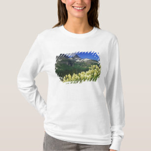 Beargras am Logan Pass im Gletscher-Nationalpark T-Shirt