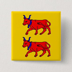 Bearn, Frankreich-Flagge Button