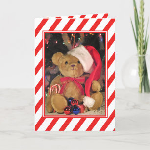 Beary Merry Teddy Bear Carte de voeux de Noël