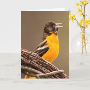 Beat Cancer Oriole Karte