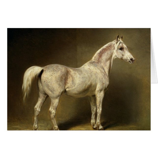 Beatrice' (Vorderseite (Horizontal))