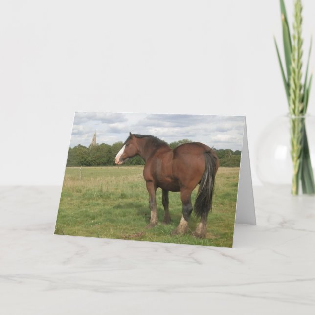 Beatrice - Carte de voeux Shire Horse (Devant)