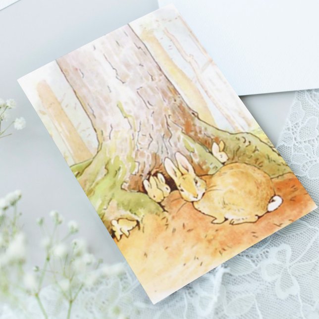 Beatrix Potter aus der Geschichte von Peter dem Ka Postkarte (Von Creator hochgeladen)