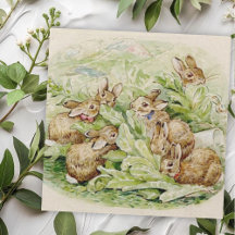 Beatrix Potter Geschichte der Flopsy Bunnies
